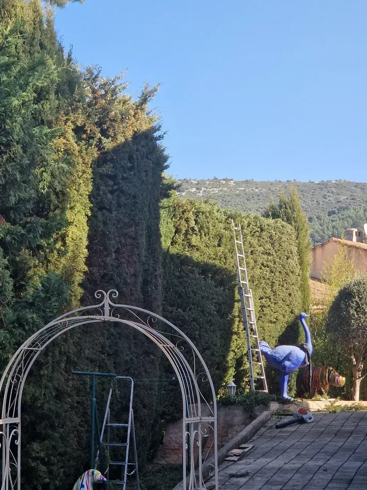 Entretien espaces verts