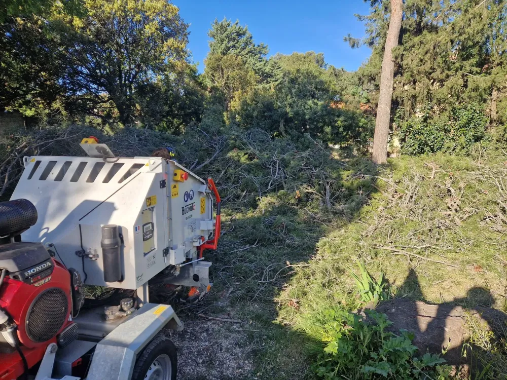 Débroussaillage à La Londe-les-Maures