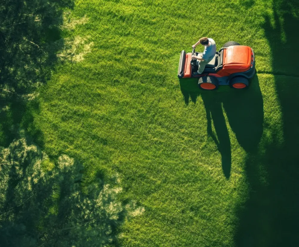 Tonte herbe à La Londe-les-Maures