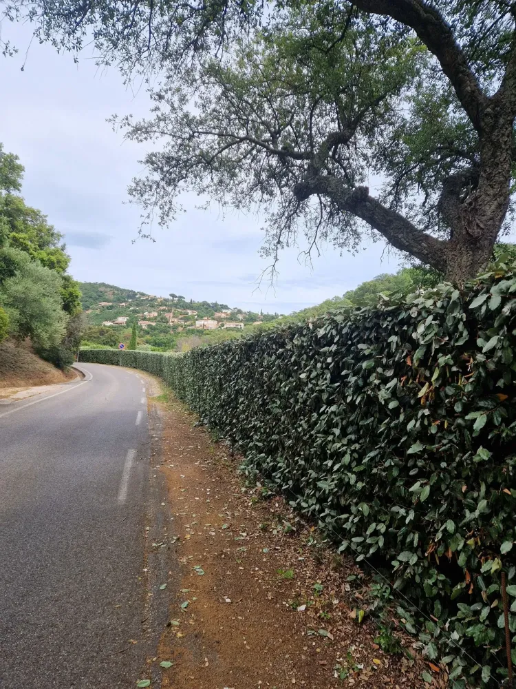 Entretien espaces verts