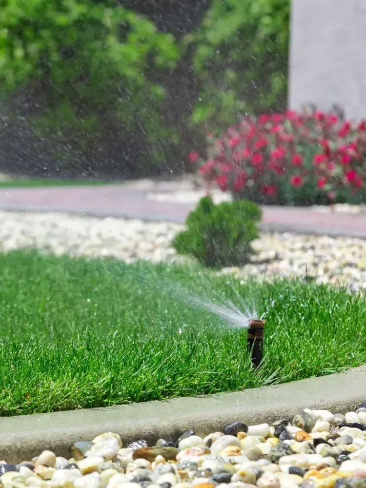 Arrosage automatique à La Londe-les-Maures