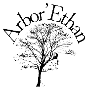 arborethan logo